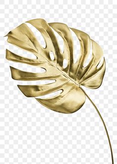 a golden leaf on a white background