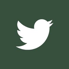 a white twitter logo on a green background