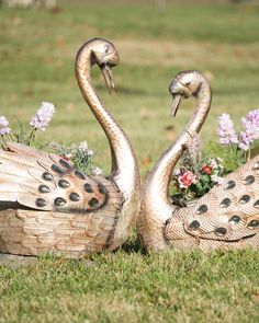 two birds are sitting in the grass with flowers on their heads and feathers spread out