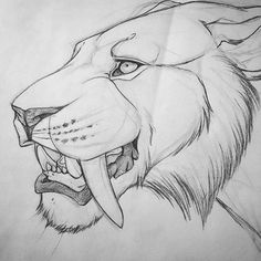 a drawing of a lion's head with its mouth open