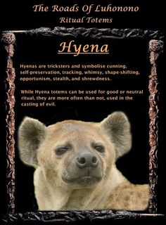 an animal with the words hyena on it's front and back side