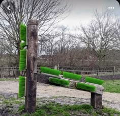 two green brushes sitting on top of a wooden pole