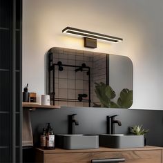 a bathroom vanity with two sinks and a large mirror above it, along with a potted plant