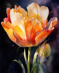 an orange and yellow flower with watercolors on it's petals, in front of a black background