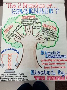 a poster with an image of a tree and the branches of government written on it