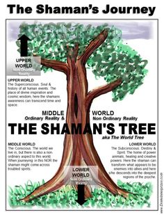 the shanman's journey tree is shown in this poster, with information about its roots