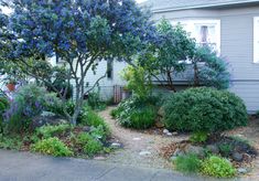 a house with blue flowers in front of it and trees on the side of the road