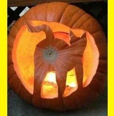 Despite the fact that Halloween has been celebrated for almost 2,000 years, the costumes we are accustomed to today have only been around for about 100 years. Source by lackhail35Xv53... Funny Pumpkin Carving, Pumpkin Carving Idea, Pumpkin Painting Ideas, Carved Pumpkin, Pumpkin Painting, Carving Ideas, Pumpkin Carving, A Cat