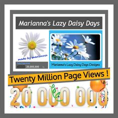 there is a sign that says twenty million page views on the front and back of it