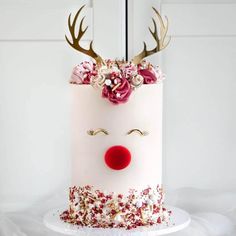 a white cake with red nose and flowers on top