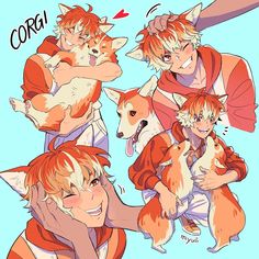 an anime character holding two dogs and one cat with the caption'corgi'above it