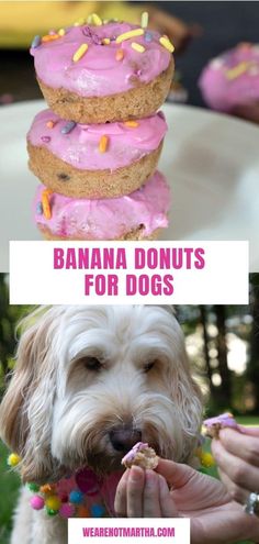 there are three different types of donuts for dogs