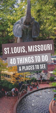 an elephant statue with the words st louis, missouri 40 things to do and places to see