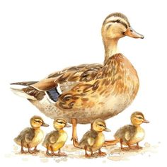 a watercolor painting of ducks and their babies