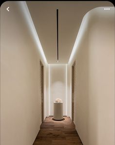 a long narrow hallway with white walls and wooden flooring on both sides, along with a round planter in the center