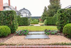 a garden with lots of green bushes and flowers