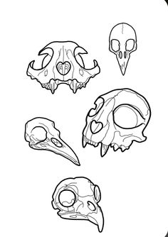 four skulls with different types of heads and beaks in the shape of birds'heads