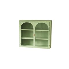 a green bookcase with two doors and shelves