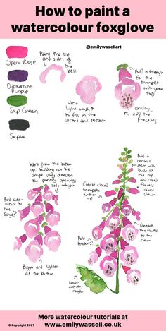 an image of how to paint a watercolor foxglove