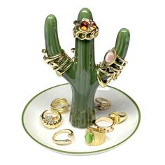 a green cactus with rings on it sitting on a plate in front of a white background