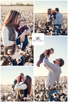 a family in a cotton field with their child and mother kissing her dad's cheek