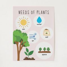 a poster with plants and water on it that says,'needs of plants '