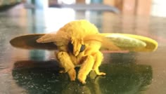 a yellow stuffed animal sitting on top of a table