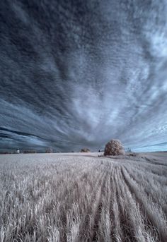 the sky is filled with clouds above a wheat field