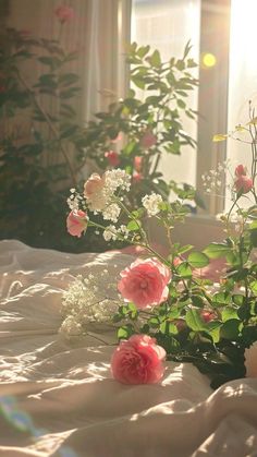 some pink and white flowers on a bed in front of a window with the sun shining through