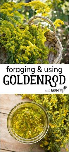 a jar filled with yellow flowers sitting on top of a wooden table next to plants