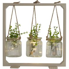 three mason jars with plants in them hanging from strings