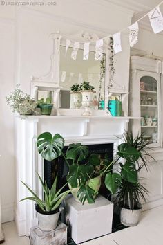 a living room filled with lots of plants next to a white fire place mantle covered in potted plants