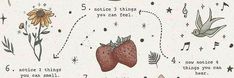 an illustrated drawing of strawberries and birds with music notes on the bottom, which says 5 minute things you can feel