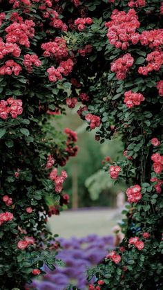 a garden with many pink flowers and green leaves in the center, surrounded by greenery