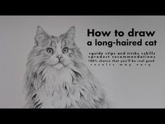 a drawing of a cat with the words how to draw a long - haired cat