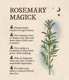 Rosemary Wreath For Protection, Tree Witchcraft, Magickal Herbs, Witch Herbs, Plant Magic, Witch Spirituality, Magic Spell Book, Magic Herbs, Magical Herbs