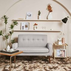 a living room with a couch, coffee table and potted plant on the wall