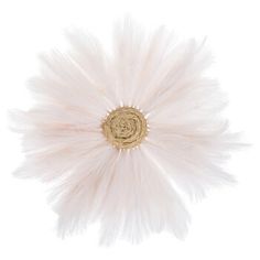 a white feather flower on a white background