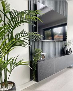 a living room with a large mirror on the wall and plants in pots next to it