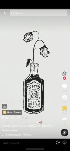 a drawing of a flower in a bottle