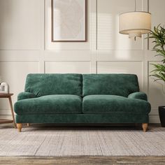 a living room with a green couch and potted plant on the floor next to it