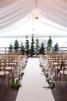 the aisle is lined with clear chairs and greenery