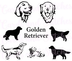 golden retriever dog silhouettes with the words golden retriever and their puppies