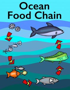 an ocean food chain is shown with fish and other marine life in the bottom right hand corner