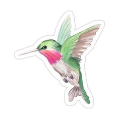 a watercolor drawing of a hummingbird flying in the air with its wings spread