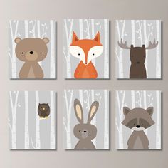 four pictures of animals in the woods, one is a fox, two are a raccoon and one is a bear