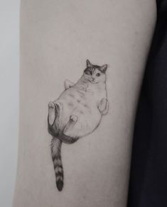 a black and white photo of a cat on the arm