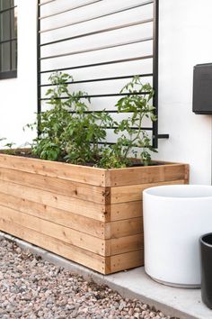 two planters on the side of a building