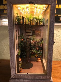 a miniature display case filled with plants and potted plants