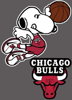 chicago bulls and chicago bulls basketball logos